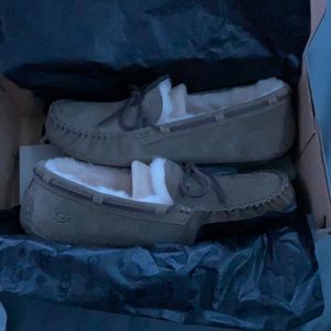 Brand new UGG slippers